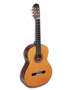 akusztikus_gitar_248548_93948_n.jpg